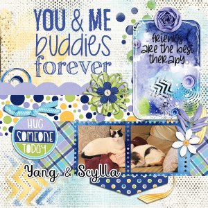 Yang + Scylla JSYL August