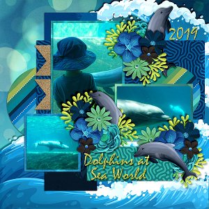 dolphins-sw-519