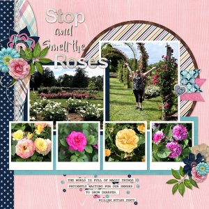 Guest CT Layouts