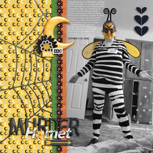 Murder Hornet