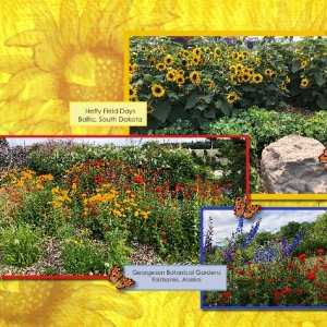 Sunflower Brush Challenge