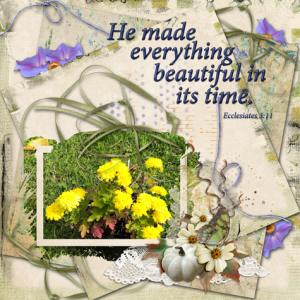 He Made Everything Beautiful