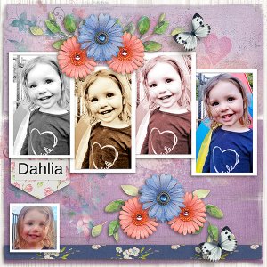 Dahlia