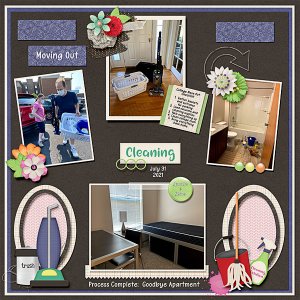 Moving Out Cleaning