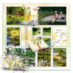 Once upon a Pond