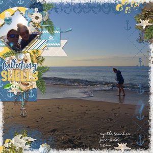 Collecting Shells