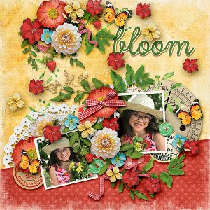Bloom!