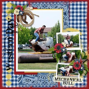 Mechanical Bull