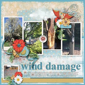 Wind Damage