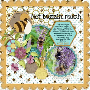 600-adbdesigns-buzzin-great-day-pia-01