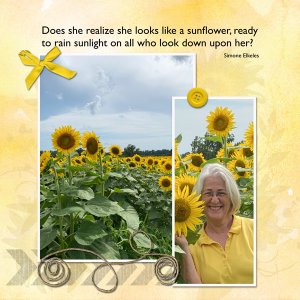 Sunflowers