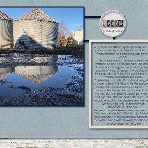 Reflections Grain Bin