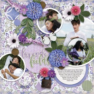 Lavender Fields