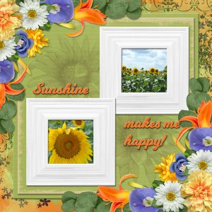 Sunshine makes me happy!