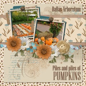Piles and Piles of PUMPKINS