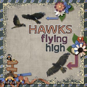 Hawks_small