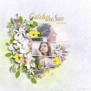 catch the sun