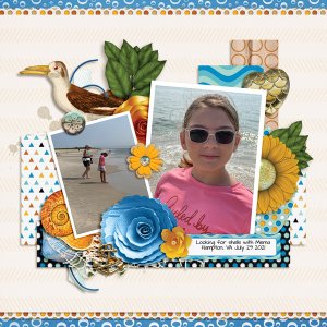 Collecting Shells
