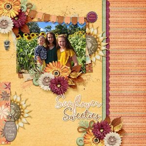 Sunflower Sweeties