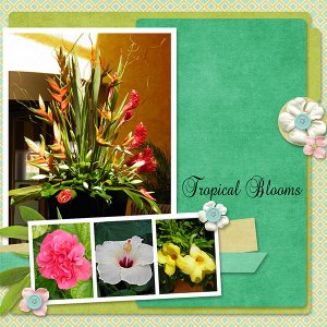 Tropical_Blooms