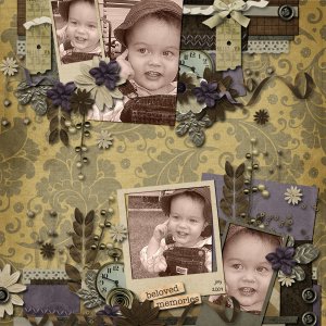 Beloved Memories
