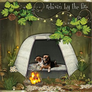 campin pups