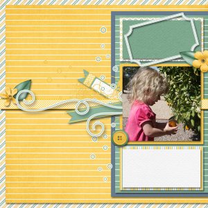 Lemon Tree