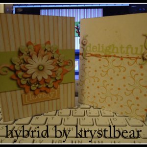 Greeting Cards