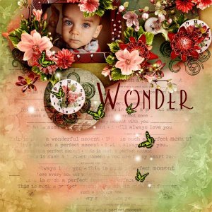 Wonder