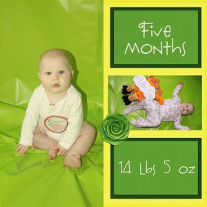 Kinsey 5 mo