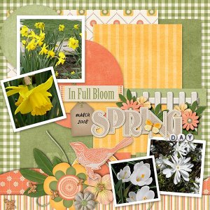 In_Full_Bloom