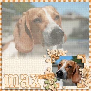 Max Charming