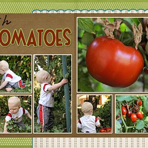 Tomatoes