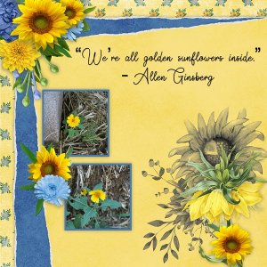We're All Sunflowers