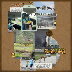 Lion Country Safari