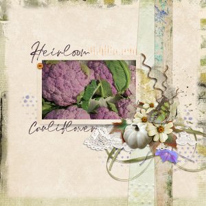 Heirloom Cauliflower