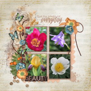 Find The Beauty