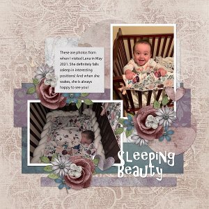 Sleeping Beauty