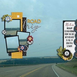 Road Trip