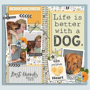 dogs rule