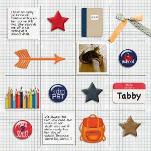 Tabby at School