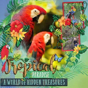 Tropical Paradise