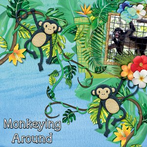 spi-monkey-21