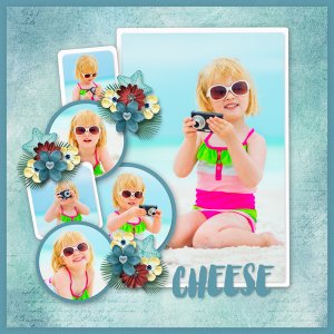 Cheese