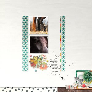 Horse2