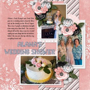Wedding Shower 2