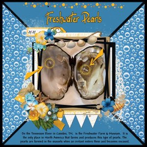 Freshwater Pearls