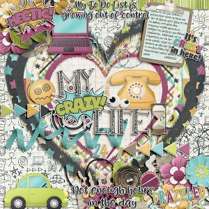 My crazy life