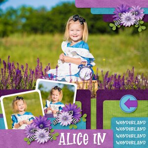 Alice in