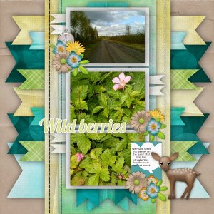 Wild berries